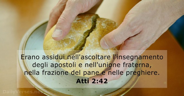 il seme n. 6